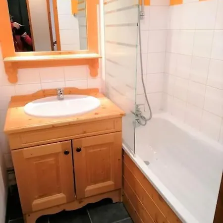 F2 Au Pied Des Pistes Apartment *